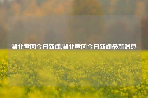 湖北黄冈今日新闻,湖北黄冈今日新闻最新消息