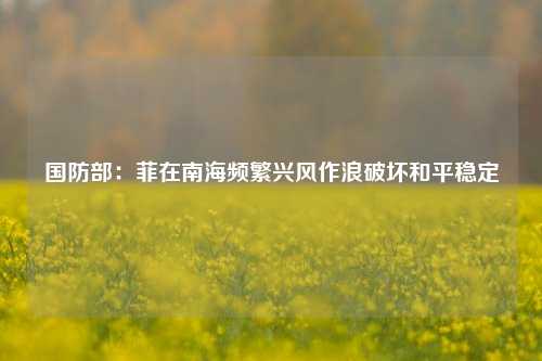 国防部：菲在南海频繁兴风作浪破坏和平稳定