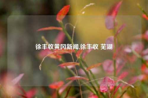 徐丰收黄冈新闻,徐丰收 芜湖