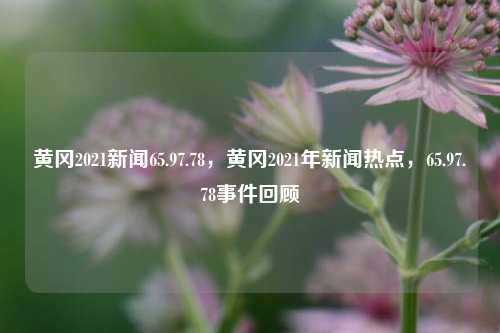 黄冈2021新闻65.97.78，黄冈2021年新闻热点，65.97.78事件回顾