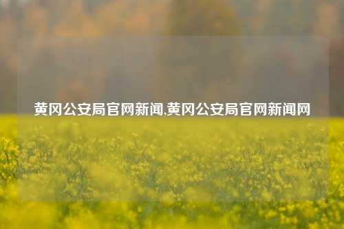 黄冈公安局官网新闻,黄冈公安局官网新闻网