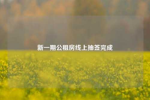 新一期公租房线上抽签完成