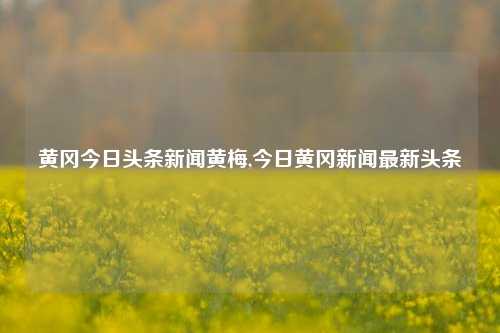 黄冈今日头条新闻黄梅,今日黄冈新闻最新头条