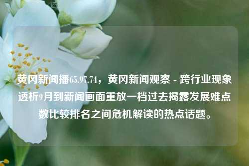 黄冈新闻播65.97.74，黄冈新闻观察 - 跨行业现象透析9月到新闻画面重放一档过去揭露发展难点数比较排名之间危机解读的热点话题。