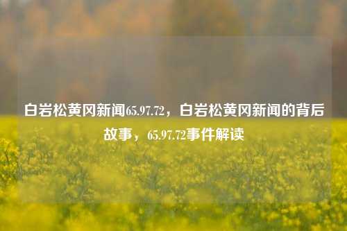 白岩松黄冈新闻65.97.72，白岩松黄冈新闻的背后故事，65.97.72事件解读