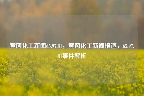 黄冈化工新闻65.97.81，黄冈化工新闻报道，65.97.81事件解析