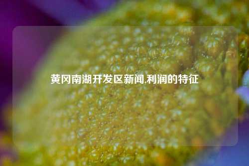 黄冈南湖开发区新闻,利润的特征