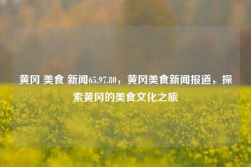 黄冈 美食 新闻65.97.80，黄冈美食新闻报道，探索黄冈的美食文化之旅