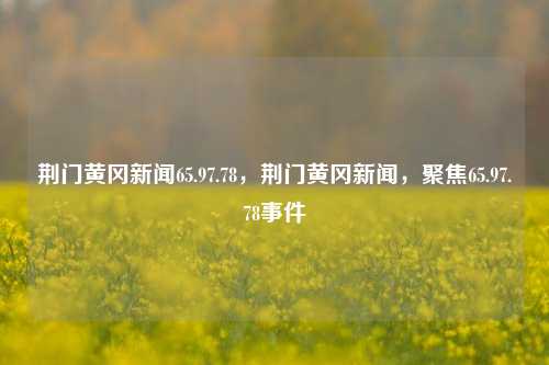 荆门黄冈新闻65.97.78，荆门黄冈新闻，聚焦65.97.78事件