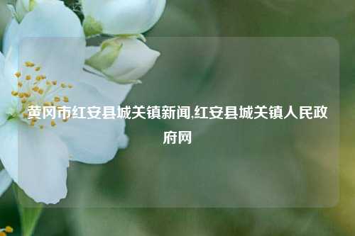 黄冈市红安县城关镇新闻,红安县城关镇人民政府网