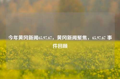 今年黄冈新闻65.97.67，黄冈新闻聚焦，65.97.67 事件回顾