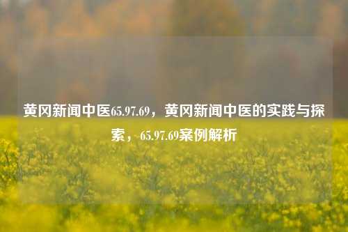 黄冈新闻中医65.97.69，黄冈新闻中医的实践与探索，65.97.69案例解析