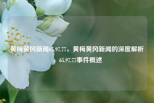 黄梅黄冈新闻65.97.77，黄梅黄冈新闻的深度解析，65.97.77事件概述