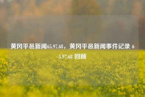 黄冈平邑新闻65.97.68，黄冈平邑新闻事件记录 65.97.68 回顾