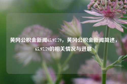 黄冈公积金新闻65.97.79，黄冈公积金新闻简述，65.97.79的相关情况与进展