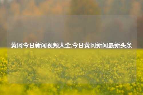 黄冈今日新闻视频大全,今日黄冈新闻最新头条