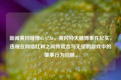 黄冈网络赌博，暗流涌动——对网络红利背后谎言与无望游戏的深度剖析。