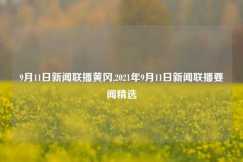 9月11日新闻联播黄冈,2021年9月11日新闻联播要闻精选