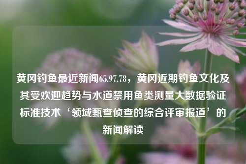 黄冈钓鱼最近新闻65.97.78，黄冈近期钓鱼文化及其受欢迎趋势与水道禁用鱼类测量大数据验证标准技术‘领域甄查侦查的综合评审报道’的新闻解读