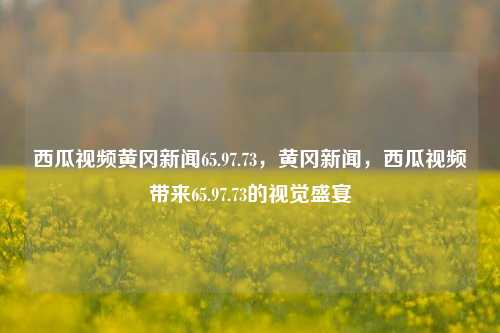 西瓜视频黄冈新闻65.97.73，黄冈新闻，西瓜视频带来65.97.73的视觉盛宴