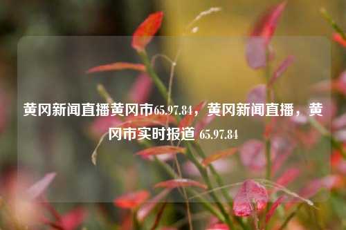 黄冈新闻直播黄冈市65.97.84，黄冈新闻直播，黄冈市实时报道 65.97.84