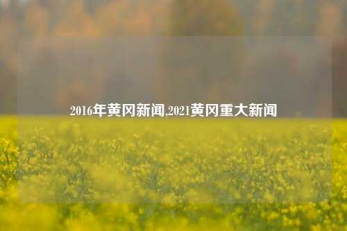 2016年黄冈新闻,2021黄冈重大新闻