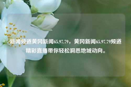 新闻频道黄冈新闻65.97.79，黄冈新闻65.97.79频道精彩直播带你轻松洞悉地域动向。