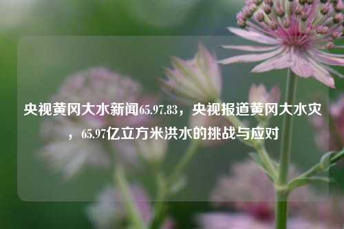 央视黄冈大水新闻65.97.83，央视报道黄冈大水灾，65.97亿立方米洪水的挑战与应对