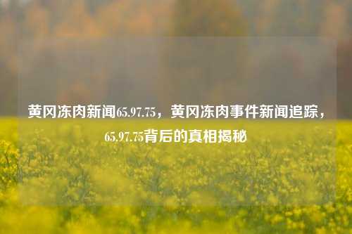 黄冈冻肉新闻65.97.75，黄冈冻肉事件新闻追踪，65.97.75背后的真相揭秘