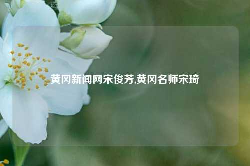 黄冈新闻网宋俊芳,黄冈名师宋琦