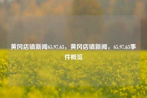 黄冈店镇新闻65.97.63，黄冈店镇新闻，65.97.63事件概览