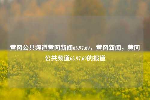 黄冈公共频道黄冈新闻65.97.69，黄冈新闻，黄冈公共频道65.97.69的报道