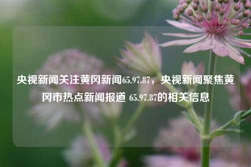 央视新闻关注黄冈新闻65.97.87，央视新闻聚焦黄冈市热点新闻报道 65.97.87的相关信息