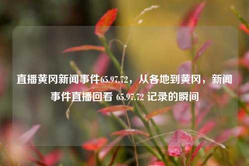 直播黄冈新闻事件65.97.72，从各地到黄冈，新闻事件直播回看 65.97.72 记录的瞬间