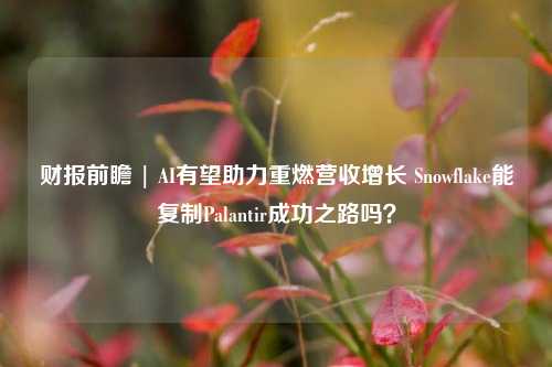 财报前瞻 | AI有望助力重燃营收增长 Snowflake能复制Palantir成功之路吗？