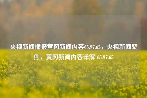 央视新闻播报黄冈新闻内容65.97.65，央视新闻聚焦，黄冈新闻内容详解 65.97.65