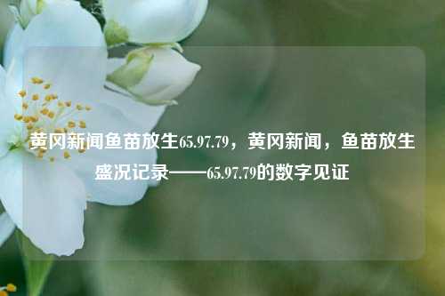 黄冈新闻鱼苗放生65.97.79，黄冈新闻，鱼苗放生盛况记录——65.97.79的数字见证