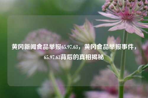 黄冈新闻食品举报65.97.63，黄冈食品举报事件，65.97.63背后的真相揭秘