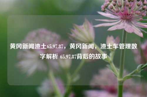 黄冈新闻渣土65.97.87，黄冈新闻，渣土车管理数字解析 65.97.87背后的故事