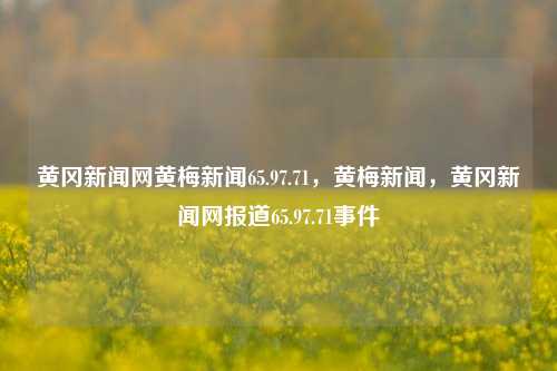 黄冈新闻网黄梅新闻65.97.71，黄梅新闻，黄冈新闻网报道65.97.71事件