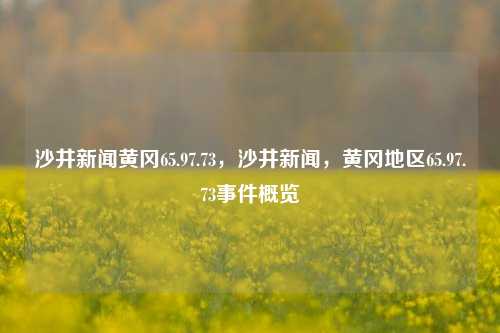 沙井新闻黄冈65.97.73，沙井新闻，黄冈地区65.97.73事件概览