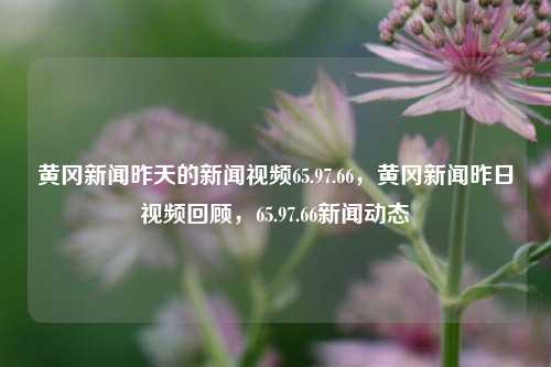 黄冈新闻昨天的新闻视频65.97.66，黄冈新闻昨日视频回顾，65.97.66新闻动态