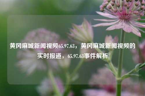 黄冈麻城新闻视频65.97.63，黄冈麻城新闻视频的实时报道，65.97.63事件解析