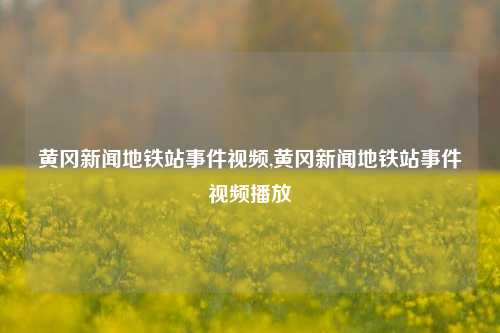 黄冈新闻地铁站事件视频,黄冈新闻地铁站事件视频播放