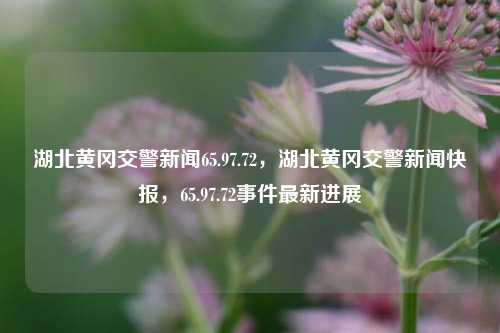 湖北黄冈交警新闻65.97.72，湖北黄冈交警新闻快报，65.97.72事件最新进展