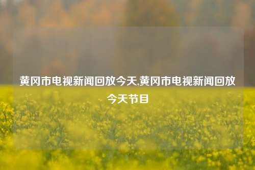 黄冈市电视新闻回放今天,黄冈市电视新闻回放今天节目