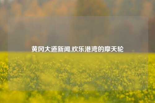 黄冈大道新闻,欢乐港湾的摩天轮