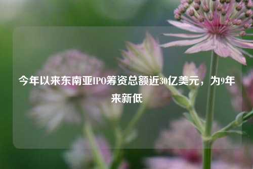 今年以来东南亚IPO筹资总额近30亿美元，为9年来新低