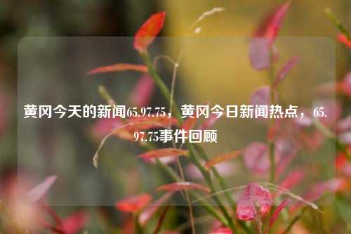 黄冈今天的新闻65.97.75，黄冈今日新闻热点，65.97.75事件回顾