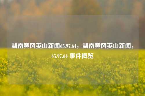 湖南黄冈英山新闻65.97.64，湖南黄冈英山新闻，65.97.64 事件概览